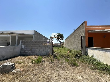 Foto Terreno agricolo in Via Santi Fucai 8, Melendugno San Foca di 308 m²