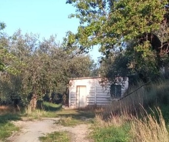 Foto Rustico in Via dei Caolini 334, Marcellina di 40 m² con 1 locali