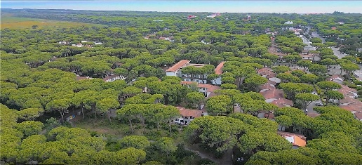 Foto Villa a schiera in PRINCIPINA MARE 900 METRI DAL MARE, Grosseto