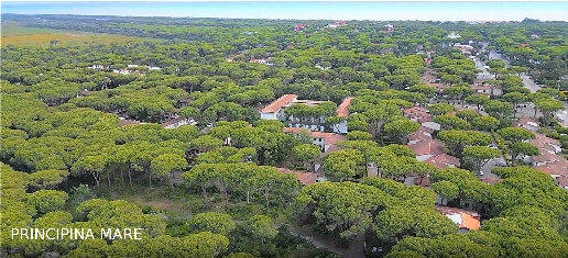 Foto Villa a schiera in PRINCIPINA MARE 900 METRI DAL MARE, Grosseto
