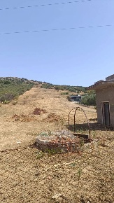 Foto Terreno agricolo in Contrada Porcara snc, Bagheria Consona di 10000 m²