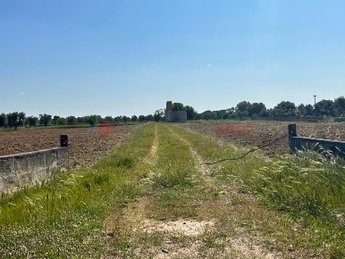 Foto Terreno agricolo in Contrada Perito snc, Francavilla Fontana