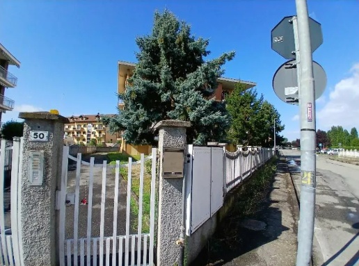 immagine annuncio 2 di 12