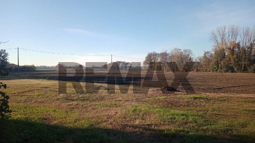 Foto Terreno agricolo in cascina brunoria 4, Carbonara al Ticino in vendita