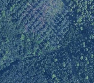 Foto Terreno agricolo in Via del Vaiolo, Rosignano Marittimo in vendita