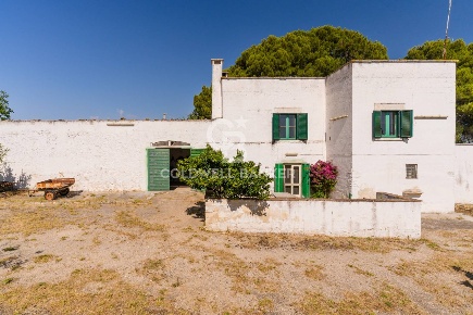 Foto Rustico in STRADA PROVINCIALE 230 CONTRADA MONTE CARAFA, Andria