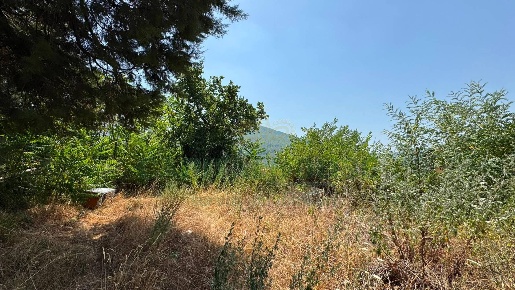 Foto Terreno agricolo in mugnano del cardinale, Mugnano del Cardinale