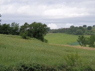 Foto Terreno agricolo in VOCABOLO VARZOLI, Lugnano in Teverina di 30000 m²