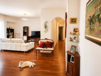 Foto Appartamento a Livorno Coteto di 156 m² con 5 locali in vendita