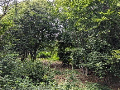 Foto Terreno agricolo a Villa Lagarina di 15400 m² in vendita