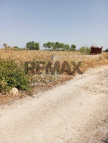 Foto Terreno agricolo in via cannellazza 8, Carlentini Contrada Cannellazza