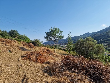 Foto Terreno residenziale a Camporosso di 15000 m² in vendita