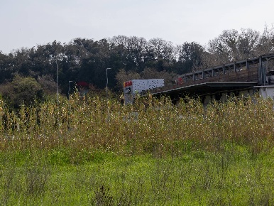 Foto Terreno residenziale in VIA VIRGILIO SNC, Ardea Ardea Paese di 5861 m²