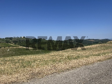 Foto Terreno agricolo in via Montelupo, Montespertoli di 35000 m²