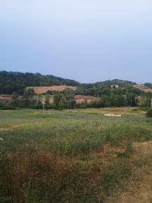 Foto Rustico a Peccioli di 200 m² con 8 locali in vendita
