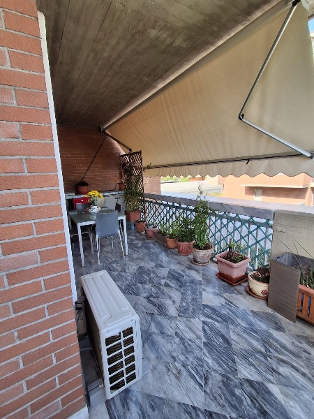 immagine annuncio 9 di 12