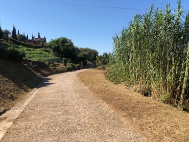 Foto Villa unifamiliare a Pietrasanta di 222 m² con 14 locali in vendita