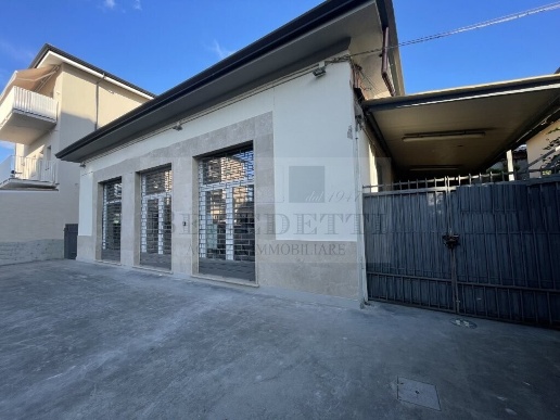 casa indipendente in vendita a Pietrasanta in zona Fiumetto
