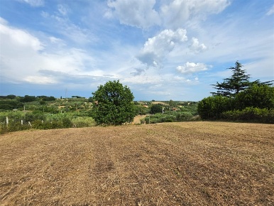 Foto Terreno agricolo in Via Astura, Lanuvio di 9700 m² in vendita