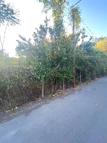 Foto Terreno agricolo in via miranda, Poggiomarino Centro di 600 m²