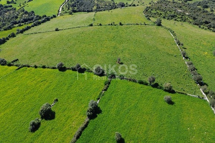 Foto Terreno agricolo in sant'elia, Noto in vendita