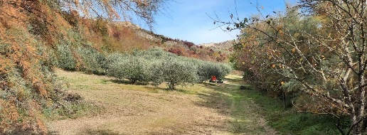 immagine annuncio 1 di 2