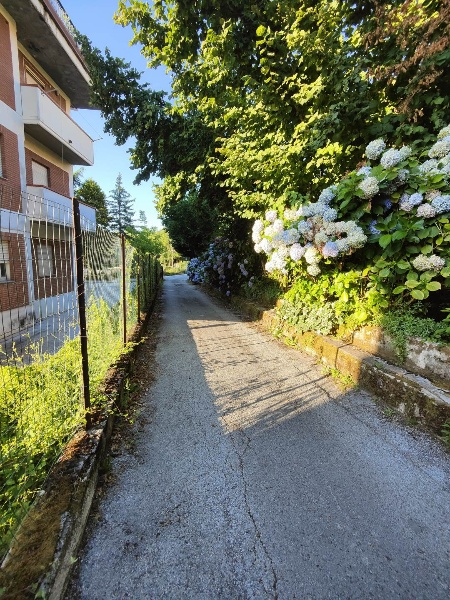 immagine annuncio 2 di 11