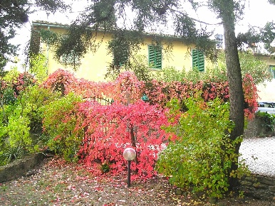 Foto Villa unifamiliare a Bucine di 1078 m² con 25 locali in vendita