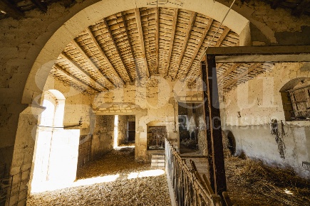 Foto Rustico in Contrada Carbonaro snc, Rosolini di 1400 m² in vendita