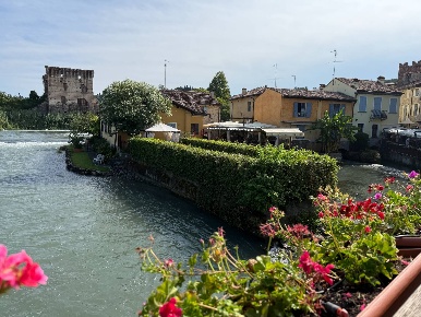 Foto Bar a Valeggio sul Mincio Centro di 120 m² con 2 locali in vendita