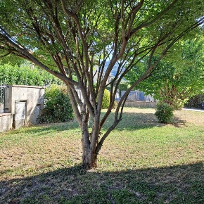 Foto Villa unifamiliare a Massarosa di 400 m² con 11 locali in vendita
