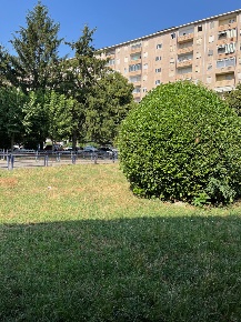 Foto Ufficio in Via Celeste Negarville 31 ter, Torino di 42 m² con 1 locali