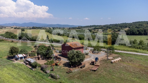 Foto Casa indipendente in Grilli, Gavorrano Grilli di 215 m² con 9 locali