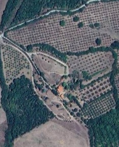 Foto Cessione attività in podere  Sasso Bianco, Campagnatico di 180 m²
