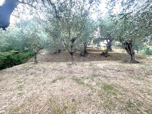 immagine annuncio 6 di 9