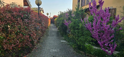 Foto Appartamento in Strada Traversante Ravadese 71, Parma di 50 m²