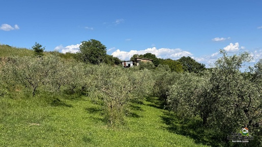 Foto Magazzino in STRADA COMUNALE ORIOLESE 9, Bassano Romano di 200 m²