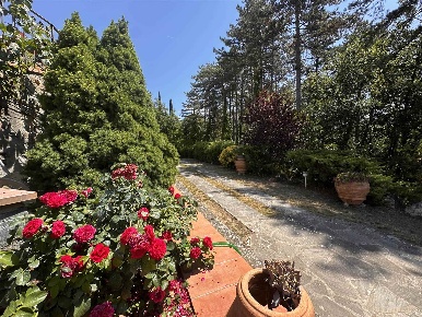 Foto Villa unifamiliare a Reggello di 250 m² con 16 locali in vendita