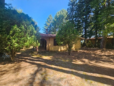 Foto Villa unifamiliare in Strada Cimina -Località Poggio Nibbio, Viterbo