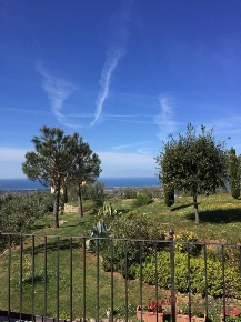 Foto Villa unifamiliare a Camaiore Camaiore Paese di 250 m² con 10 locali