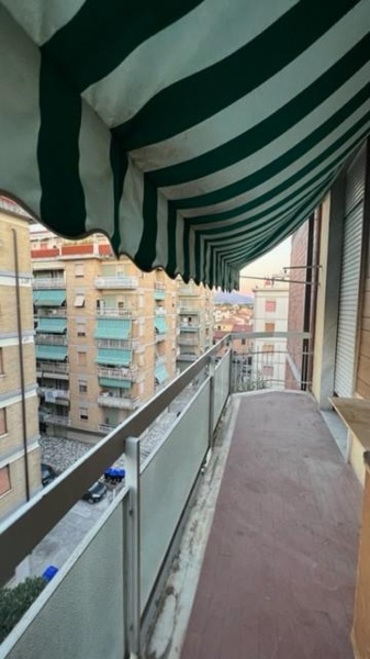 immagine annuncio 5 di 14