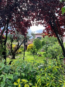 Foto Villa unifamiliare a Pisa San Francesco di 170 m² con 8 locali