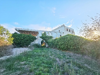 Foto Rustico in Contrada Piano, Palo del Colle di 700 m² con 11 locali