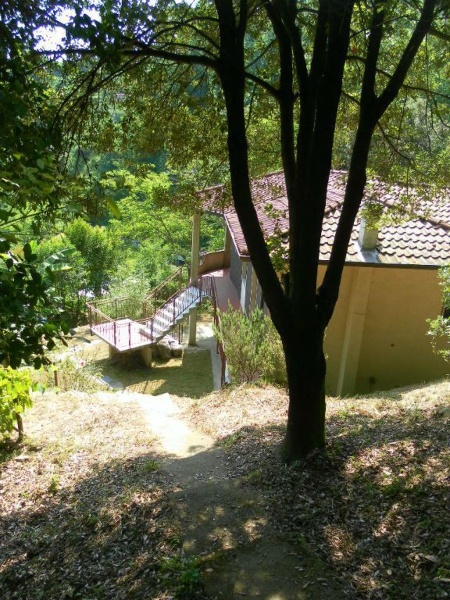 immagine annuncio 10 di 13