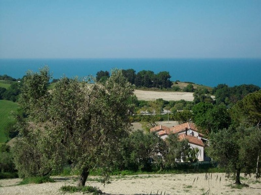 immagine annuncio 1 di 14