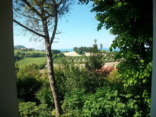 immagine annuncio 2 di 14