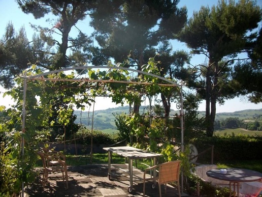 immagine annuncio 6 di 14