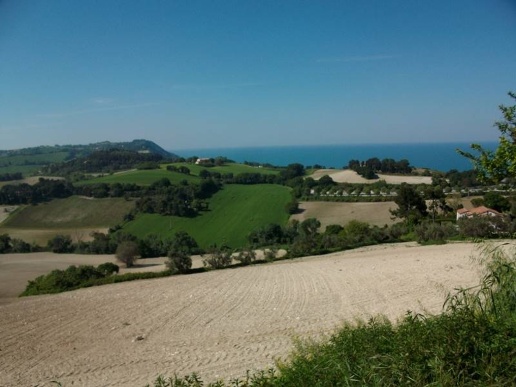 immagine annuncio 8 di 14