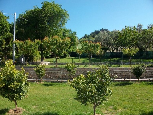 immagine annuncio 9 di 14