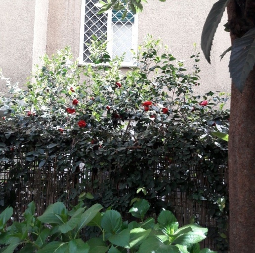 immagine annuncio 11 di 13